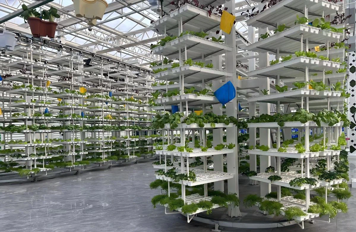 hydroponic system hydroponic system