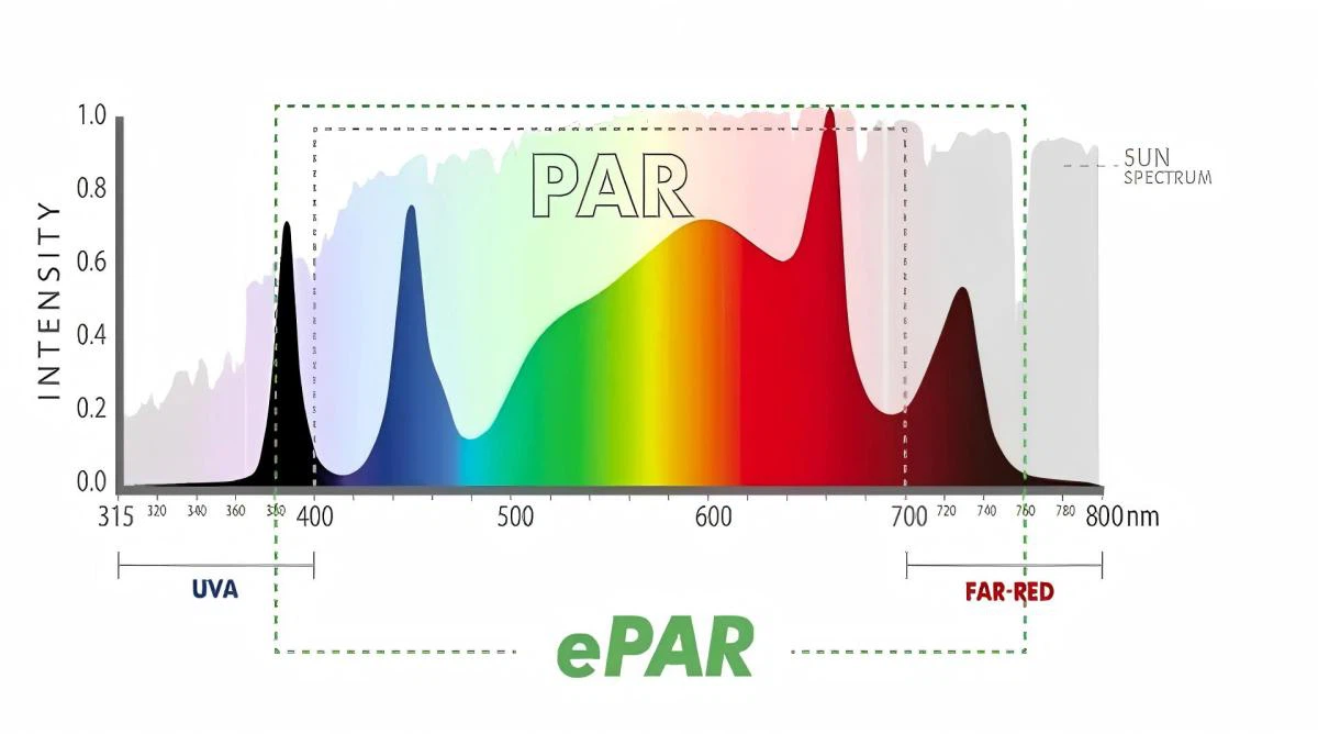 LED Grow light spectrum LED Grow light spectrum
