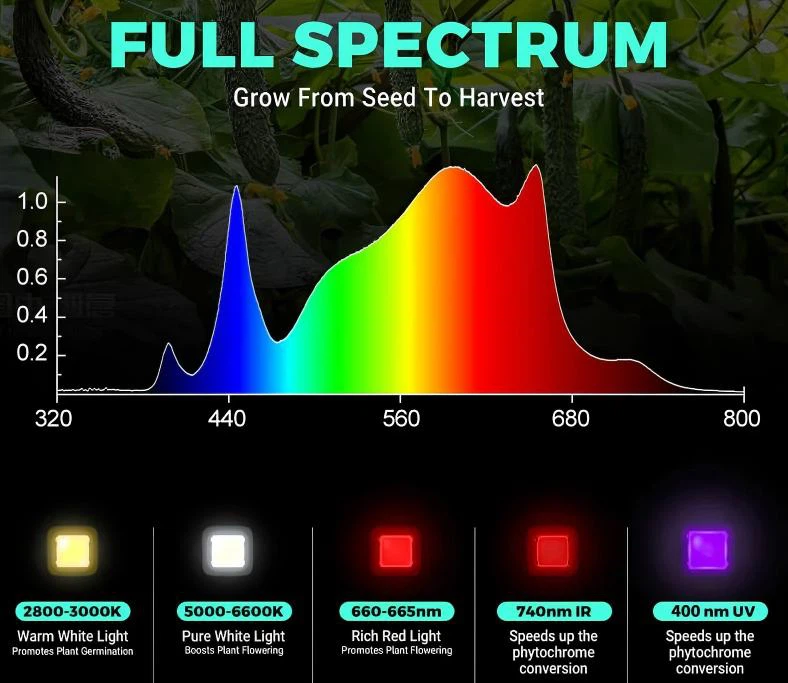 full sepctrum full sepctrum