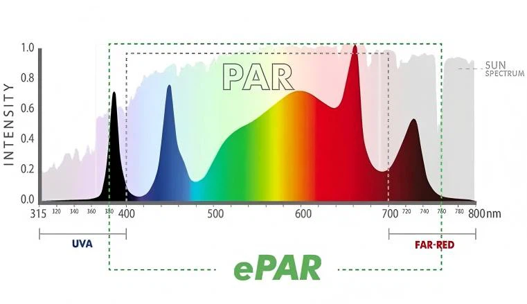 Stable Spectrum Stable Spectrum
