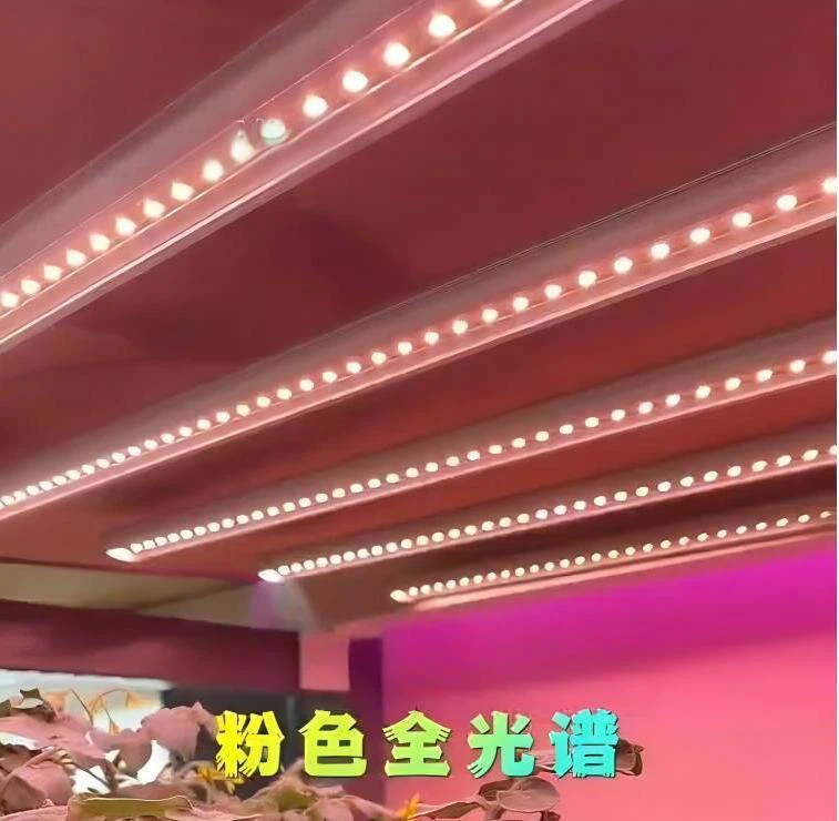 spectrum unstable spectrum unstable