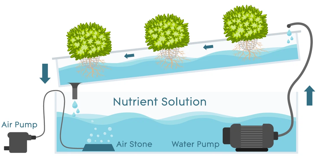 Nutrient Film Technique Nutrient Film Technique